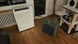 Argo Ulisse 13 DCI ECO
