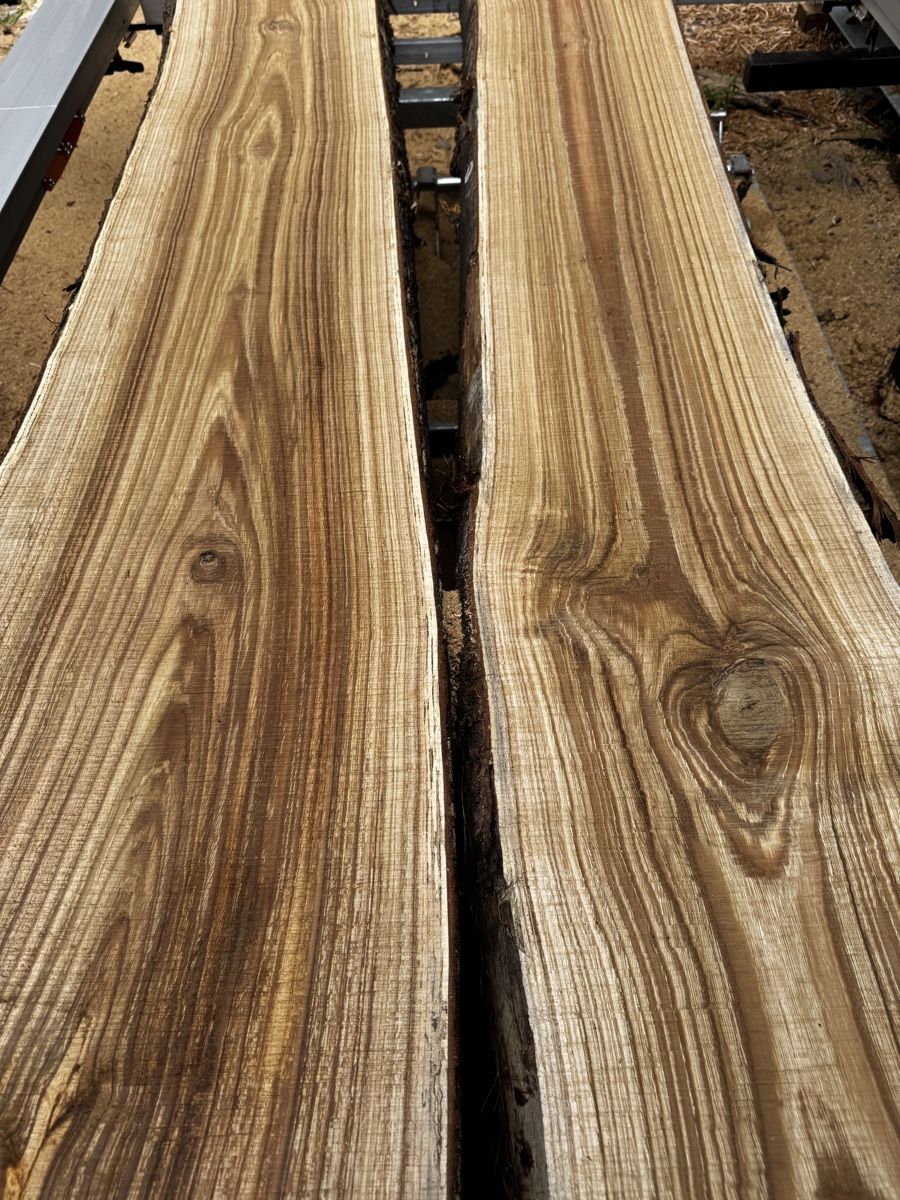 Articoli in legno: Schweizer Edelkastanien Bohlen – Nuovo (secondo la descrizione) da Horn venduto da joe_mb2d 3