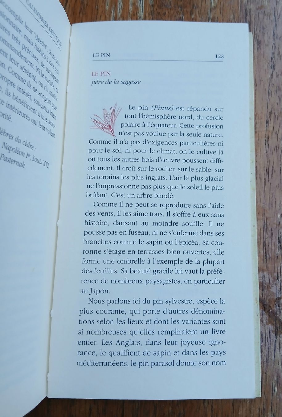 Libri:  Calendrier Celtique - Michaël Vescoli  – Usato da Sciernes-d'Albeuve venduto da Dojo004 2