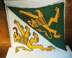 Fahne Thurgau 97 x 94 cm