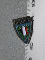 PIN PINS POLIZEI POLICE