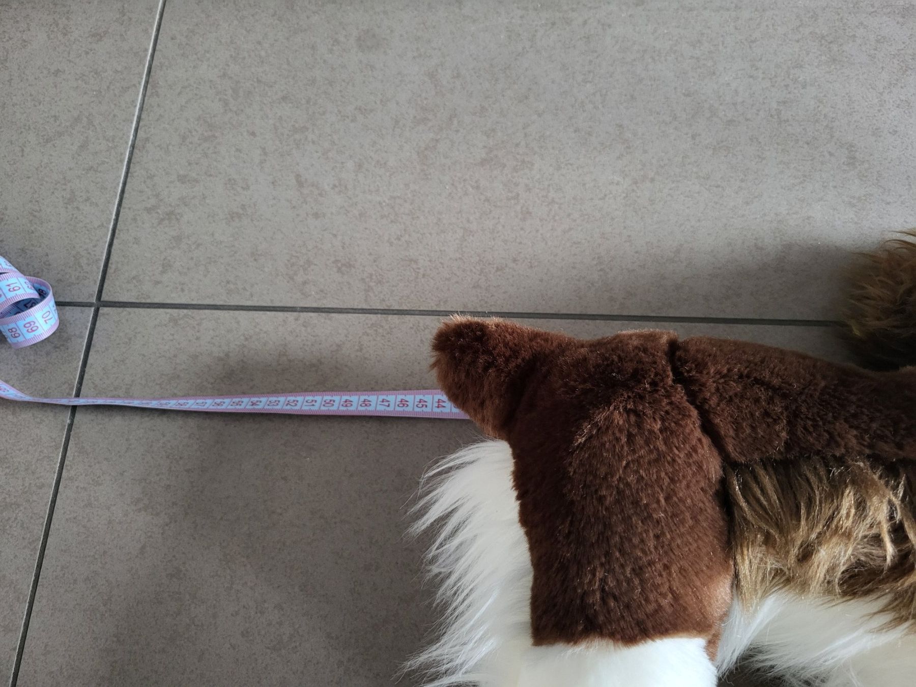 Steiff Spielzeuge: Steiff Hund – Neu und originalverpackt aus Zürich von Orchidee 8
