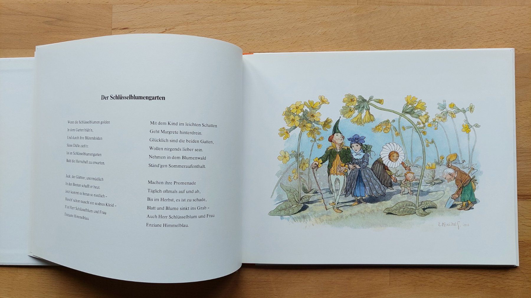 Libri: Blumenmärchen von Ernst Kreidolf – Nuovo (secondo la descrizione) da Obfelden venduto da Foto_Bild_Kunst_Buch 3