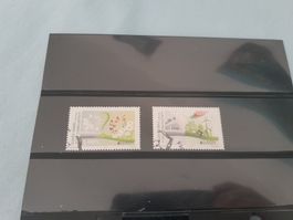 Türkisch Zypern Michel 829-830 Europa Cept