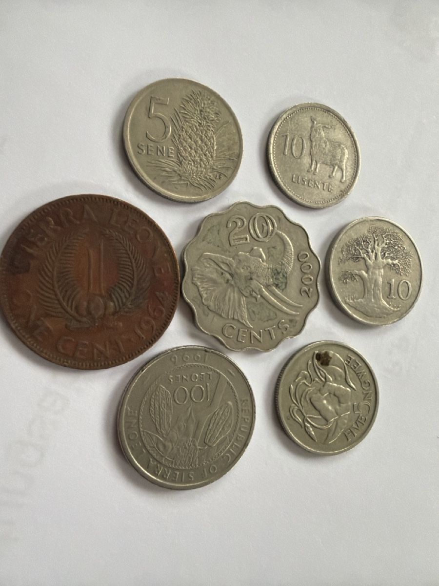 Tutti le monete: Pièces Africaines  – Usato da Hittnau venduto da Pat_yl7f 1
