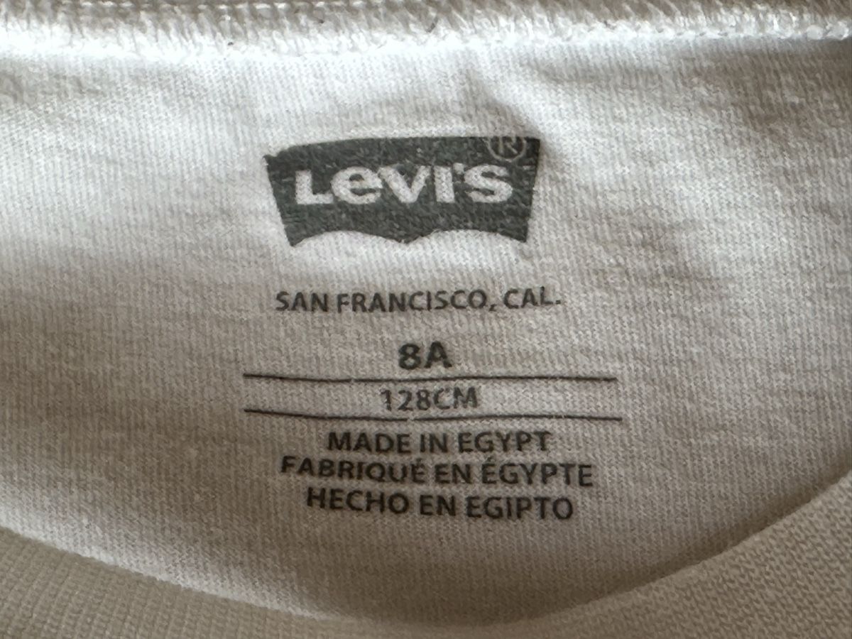 Levi's Camicie, T-shirt & Polo: T-shirt in cotone Levi’s – Usato da Castel San Pietro venduto da Moregi 2