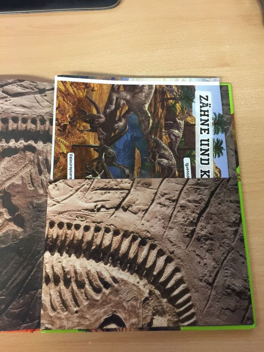Libri: Warum hatten Dinosaurier Schuppen? – Usato da Glattfelden venduto da cybermaxx 7