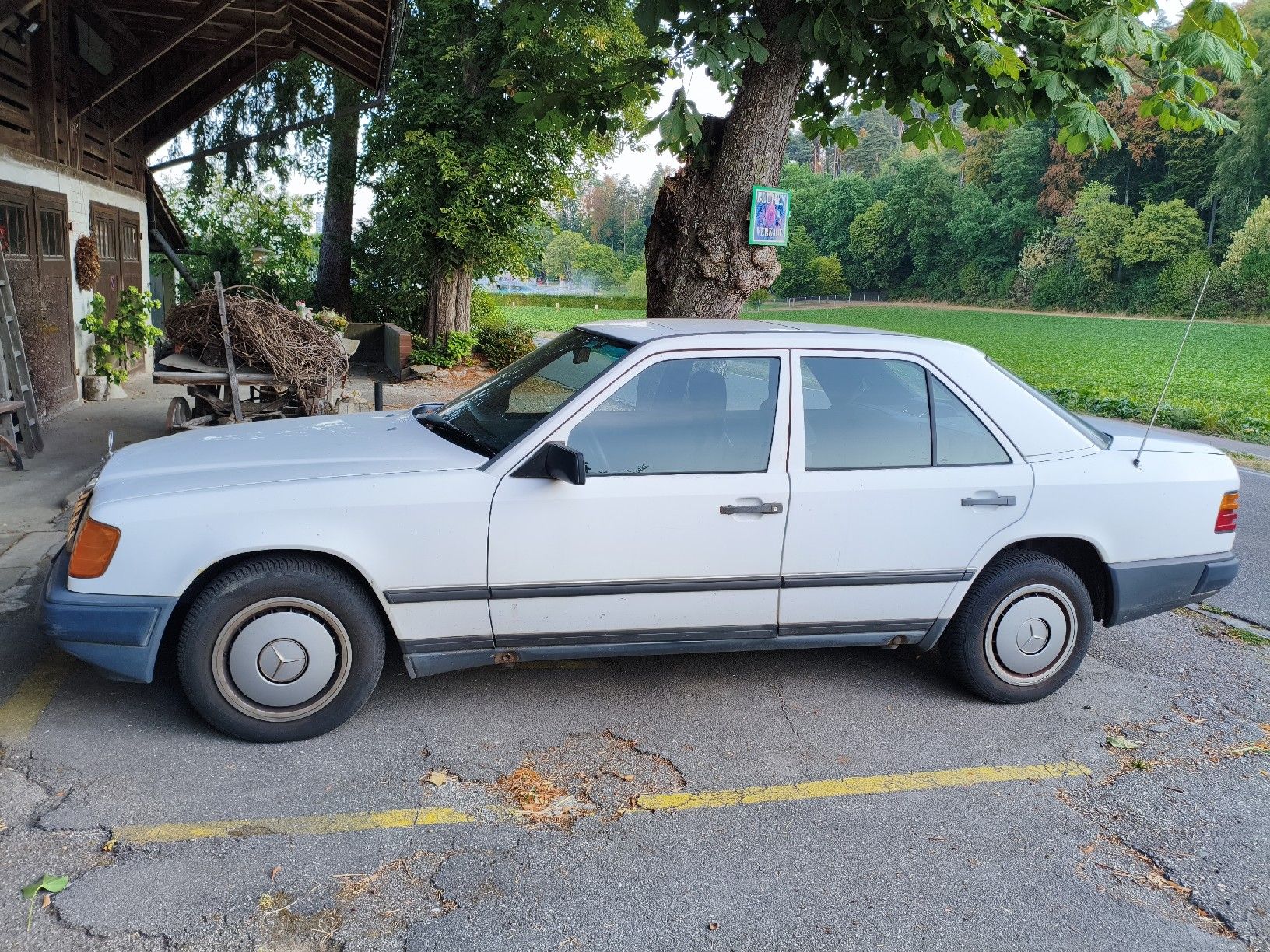 Mercedes-Benz Automobili: Mercedes Benz E300D W124 – Usato da Ostermundigen venduto da grafilus 2