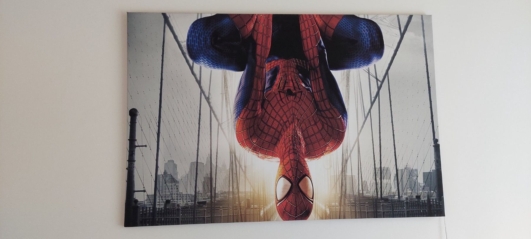 Poster & Bilder: Spider-Man Leinwandbild – Gebraucht aus Kriens von vre_d692