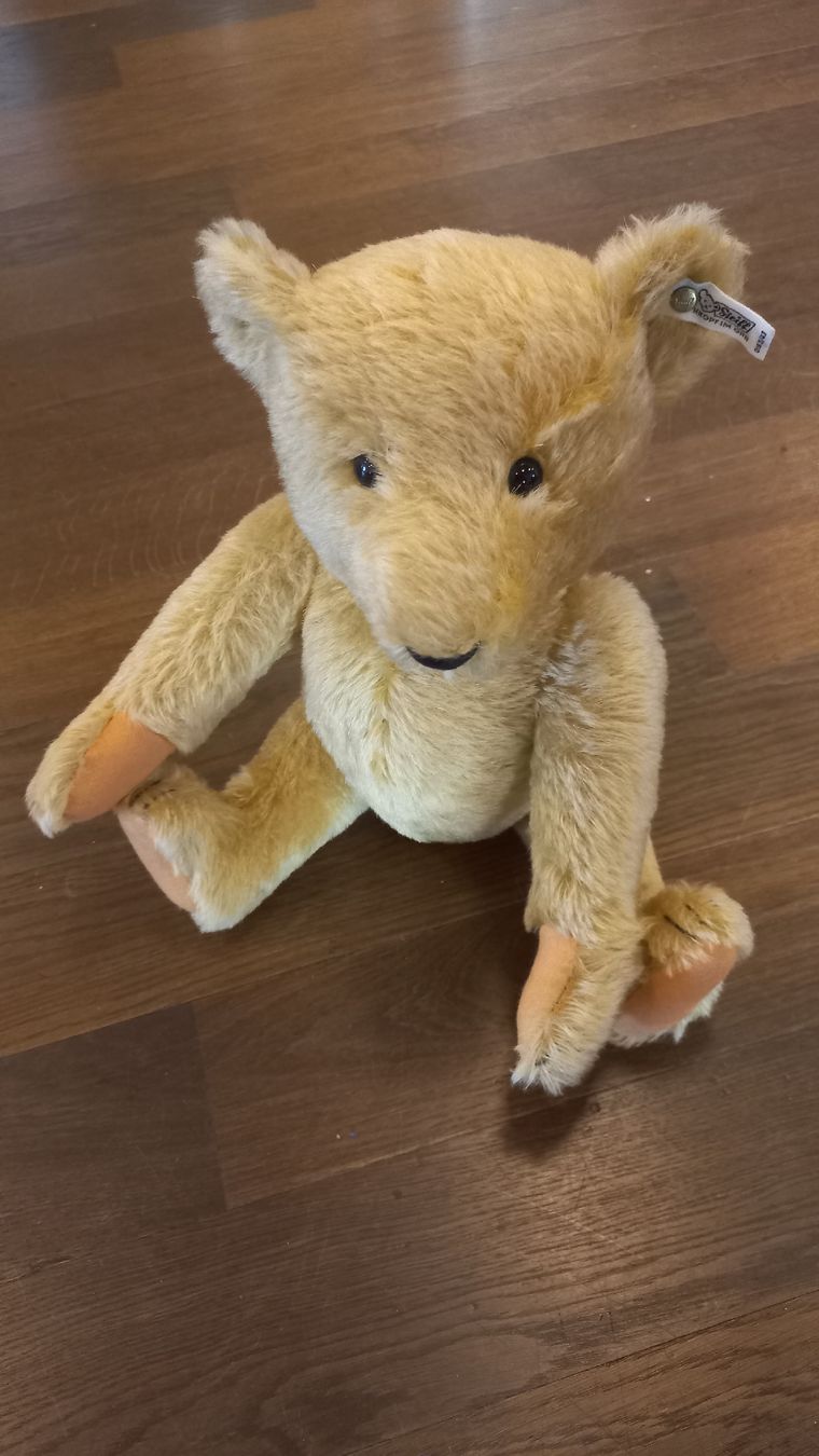 Steiff Spielzeuge: Teddybär Steiff – Neu (gemäss Beschreibung) aus Menziken von ursimat