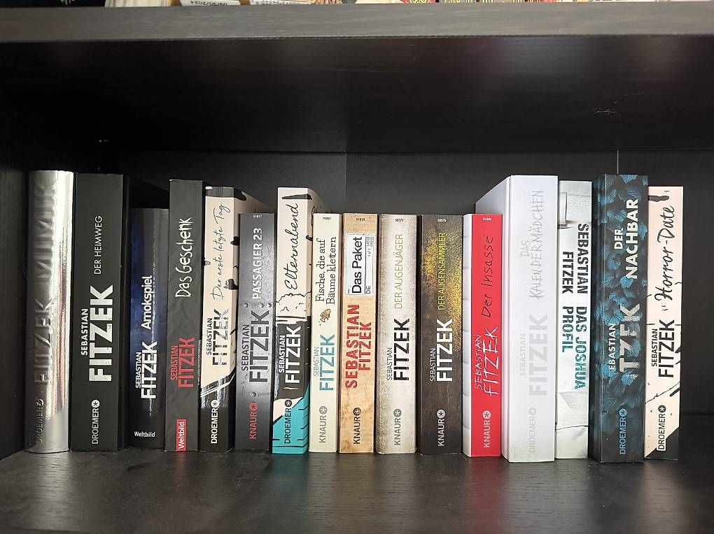 Libri: 16 Sebastian Fitzek Bücher im Set – Usato da Oberriet SG venduto da saraalina