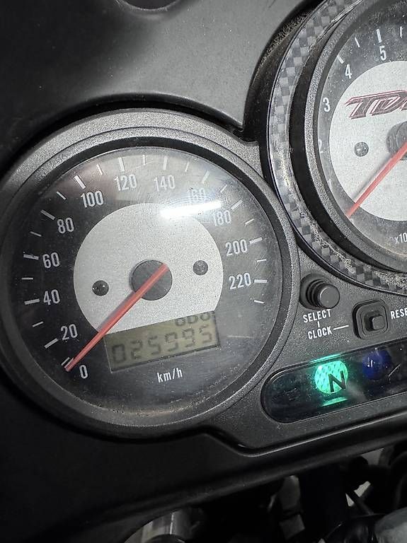 Touring: Yamaha tdm 850  – Gebraucht aus Volketswil von mascalzone-latino 1