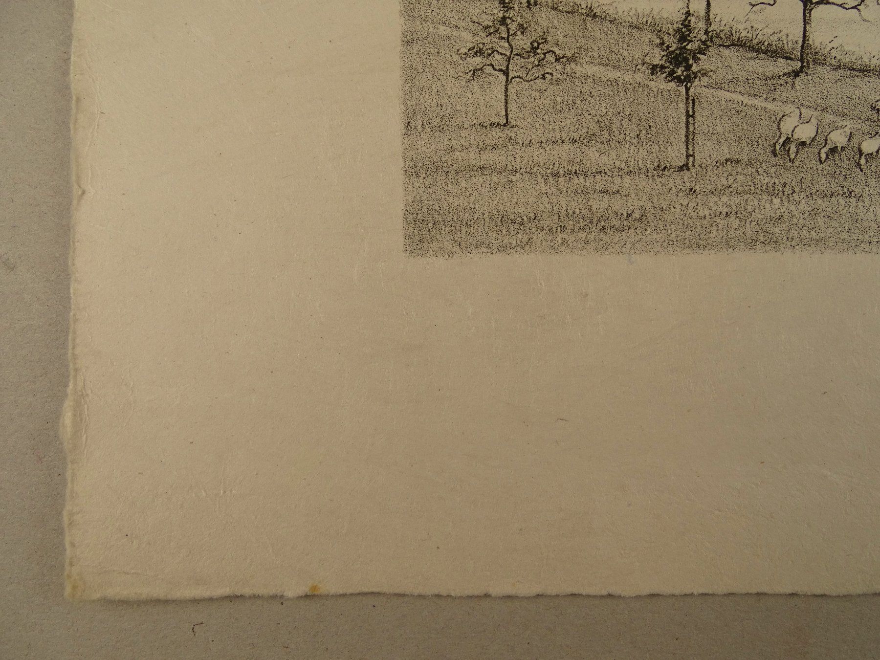 Incisioni: RHEINAU, LITHOGRAPHIE 1938 – Usato da Grüningen venduto da Kartensammler 5