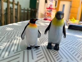 Schleich Pinguin Familie