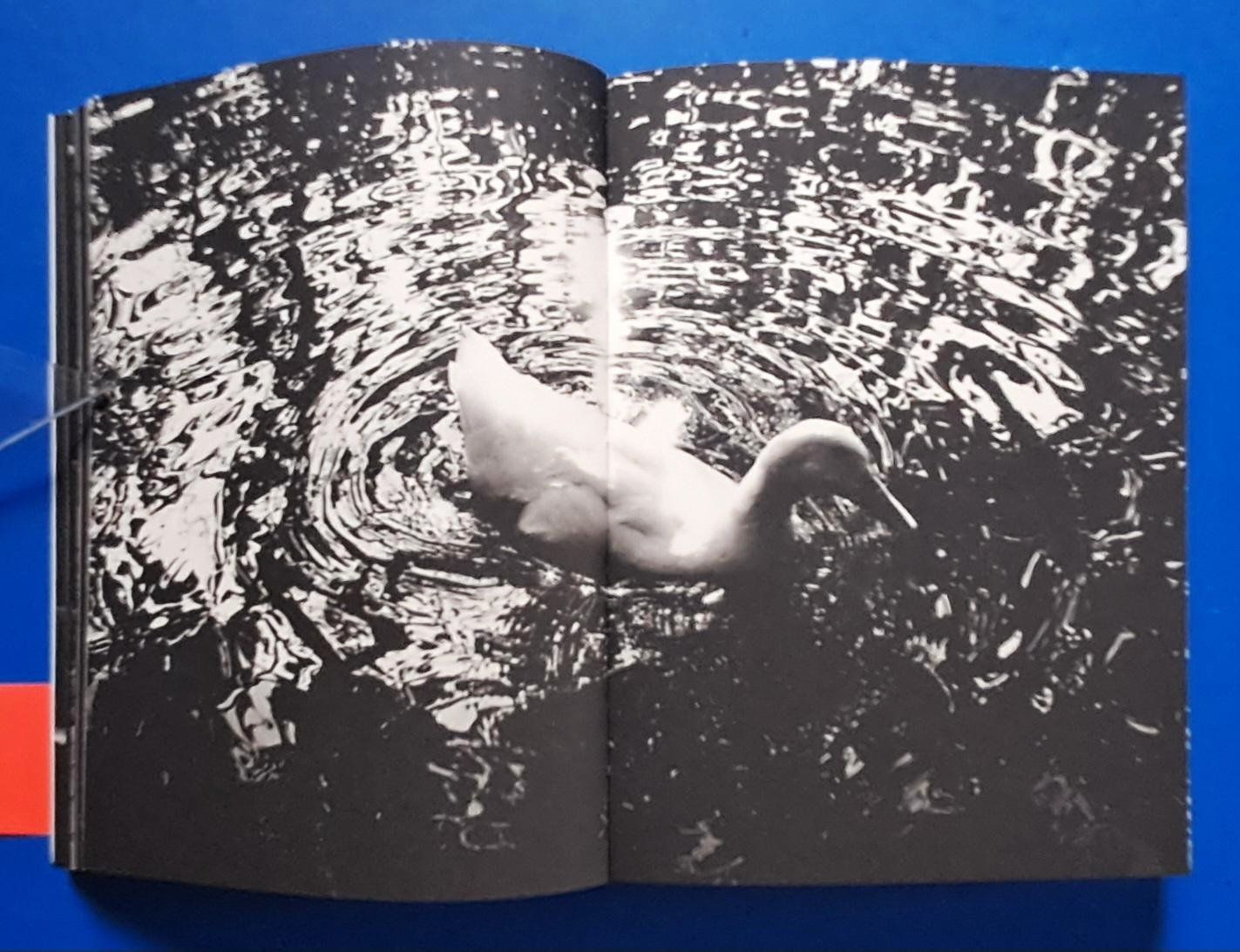 Libri: Daido Moriyama: REMIX (Second Edition London) – Usato da Zürich venduto da archiphil 4