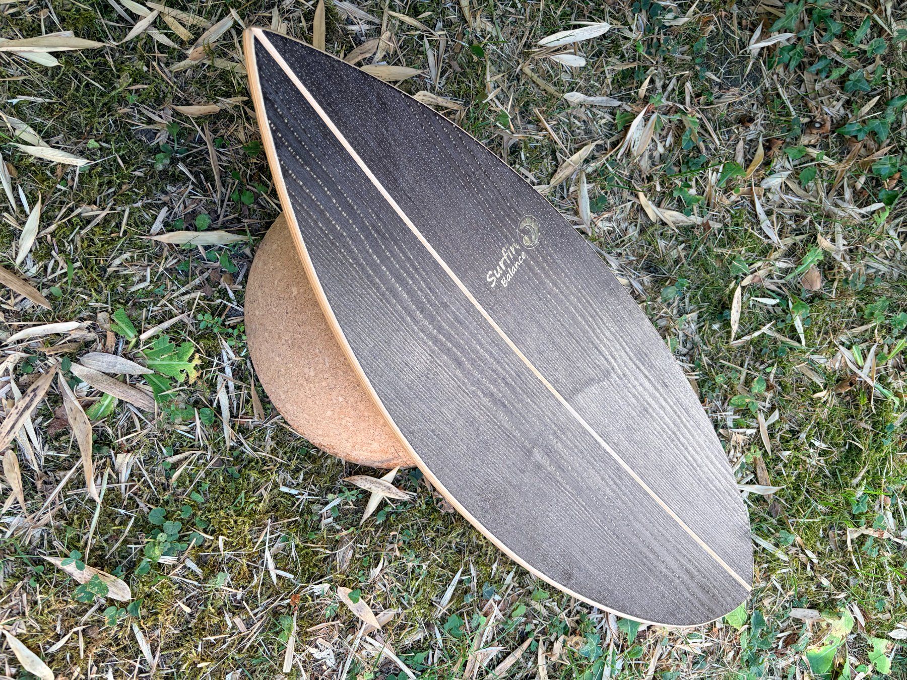 Hometrainer: Surfin Balance Board das Original – Usato da Männedorf venduto da andreamaria01 1