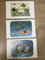 3 Kunstdrucke von E. Kreidolf guter Zustan