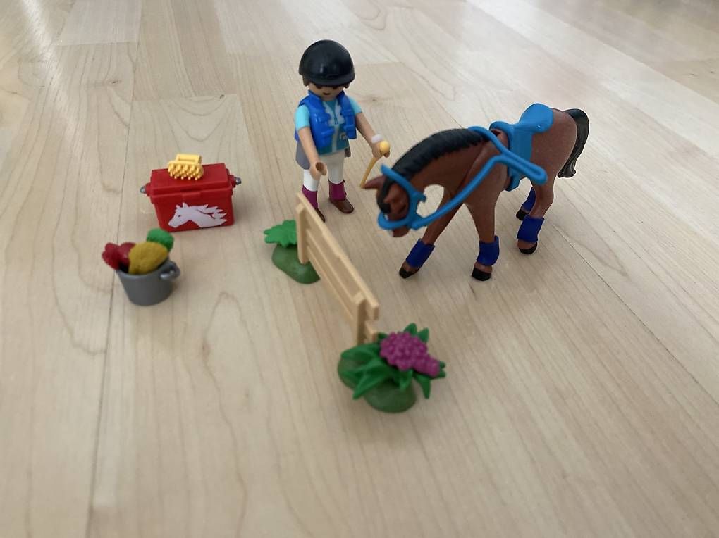 Playmobil Giocattoli: Playmobil Reiterhof – Usato da Alosen venduto da trudilike