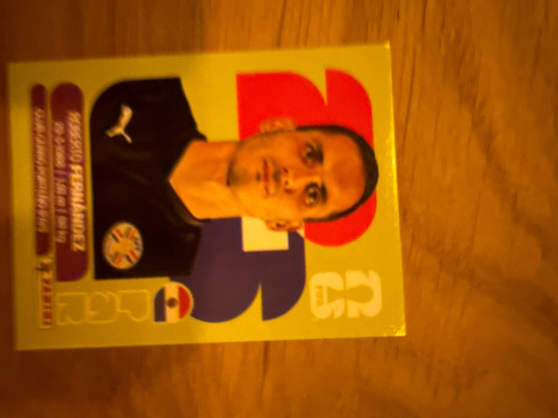 Panini Cartes à collectionner: Panini – D'occasion à Langnau i. E. par Acrjl