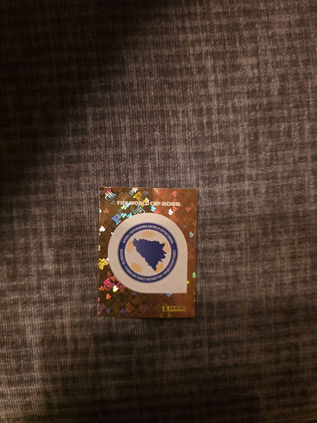 Panini Carte collezionabili: Panini WM 2026 BIH 1 Wappen – Nuovo (secondo la descrizione) da Romanshorn venduto da leeh78