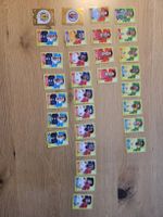 Panini world cup 2026
