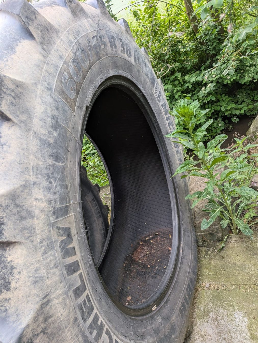 Michelin Pneumatici & Ruote complete: 2 Reifen Michelin Multibib 600/65R38 – Usato da Grasswil venduto da LMG 4