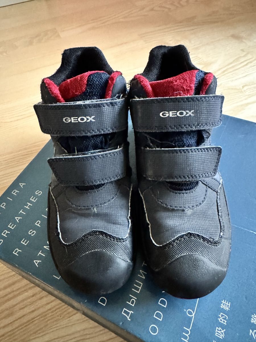 Scarpe per ragazzi: Geox New Savage Gr. 32 – Usato da Genthod venduto da Tidus04