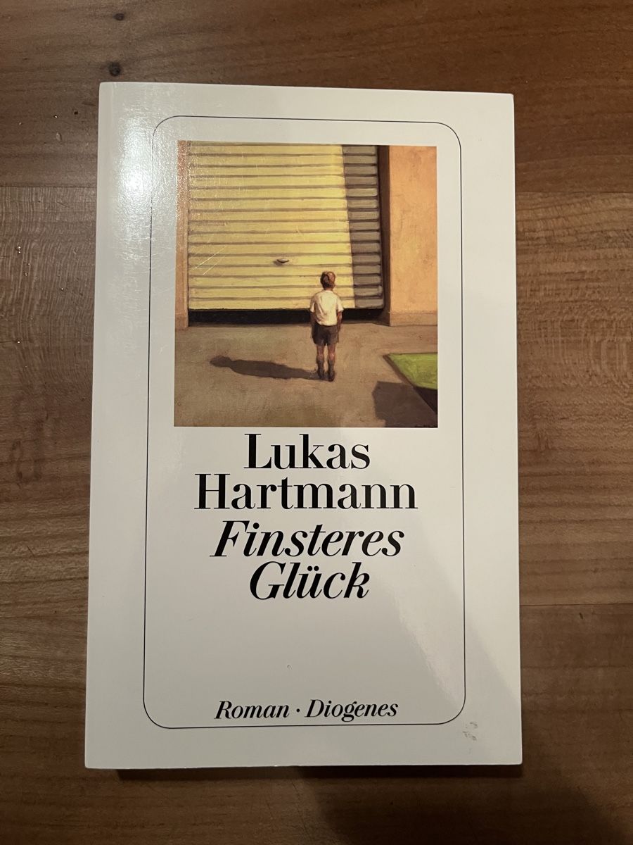 Libri: Finsteres Glück - Lukas Hartmann – Usato da Oberthal venduto da rah_6sbk