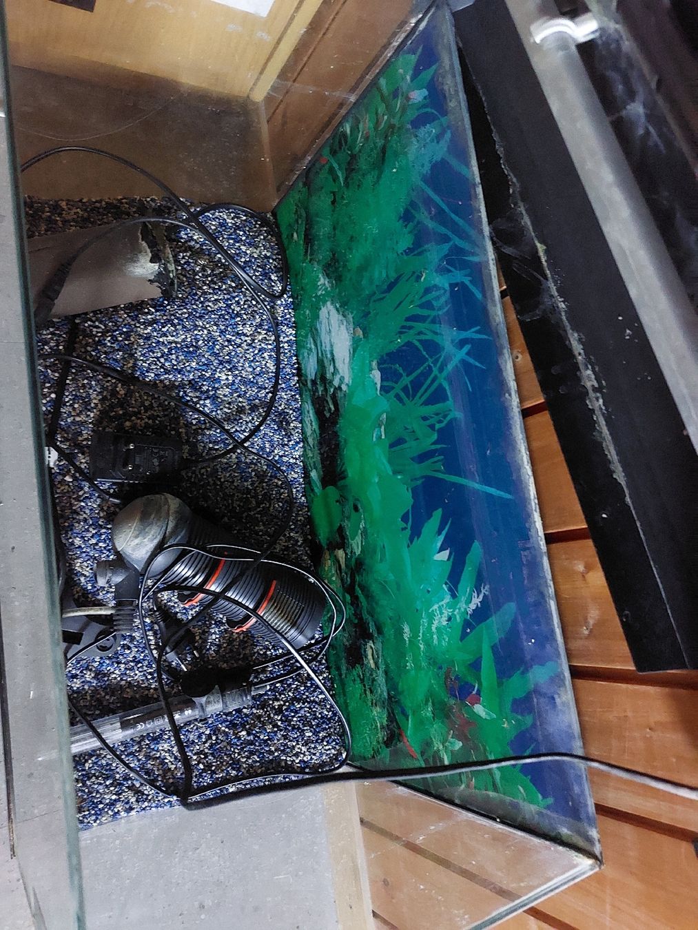 Acquari: Juwel Aquarium 70 Liter – Usato da Wattwil venduto da swissgirl6 1