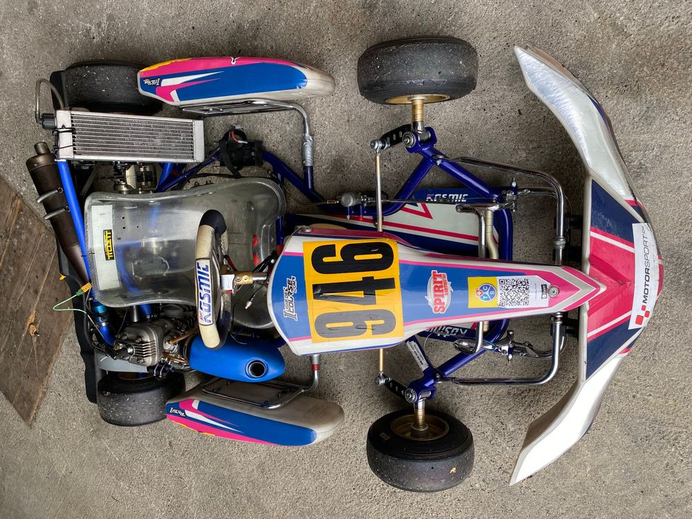 Kinder Go Kart Rennkart 7-12 Jahre IAME Waterswift 60ccm (Gebraucht) in ...