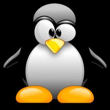 Profile image of Koenigspinguin
