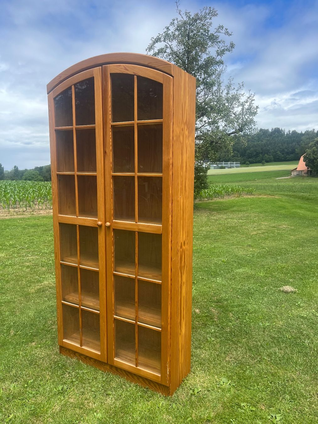 Vetrine: Vitrine mit 2 Türen – Usato da Allmendingen b. BE venduto da juair 5
