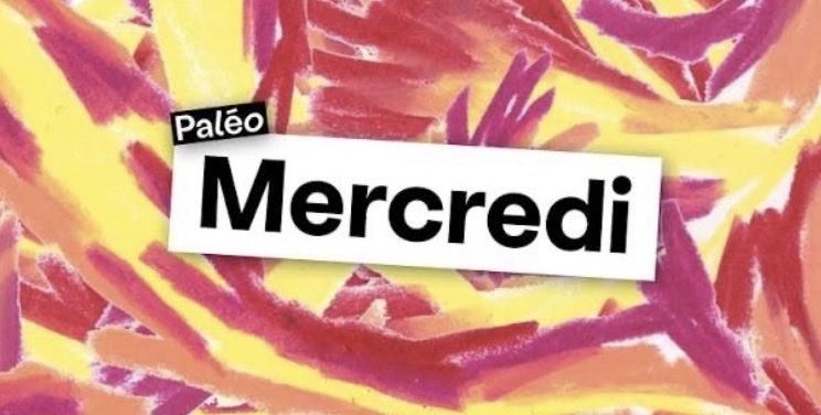 Banconote: Paléo Mercredi 22.07.2026 2 billets – Nuovo e nell'imballaggio originale da Treyvaux venduto da so__phie