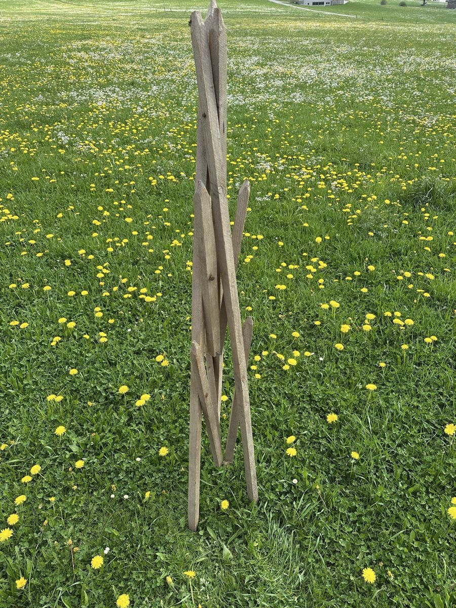 Altro in Utensili da giardino: Heinze – Usato da Schwende venduto da weesli 4