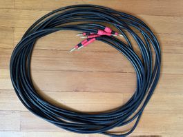 Audio Note AN-Lexus LX Copper Lautsprecherkabel, Biwiring