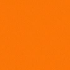 Profile image of Noah_Zurich