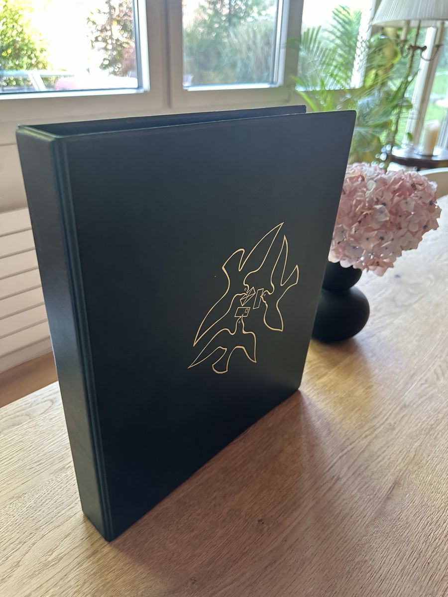Philswiss Album: Grossformatiger Philswiss Ringbinder mit 40 Einlageblätter f – Usato da Schmitten / FR venduto da Samsara169
