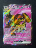 Dachsbun ex 160 - Backel ex - Stellar Crown - EN