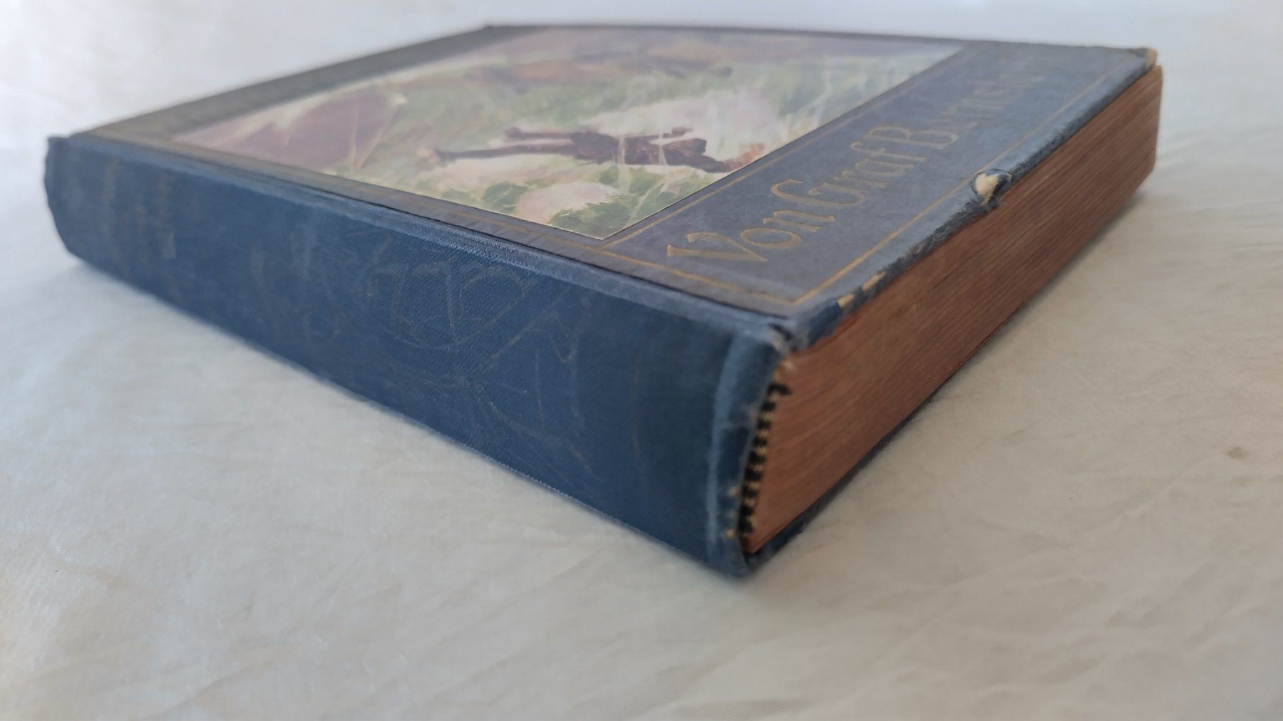 Livres: Willi der Schiffsjunge / Buch ±1925 / Graf Bernstorff – D'occasion à Bellach par JingleJerry 1