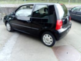Lupo