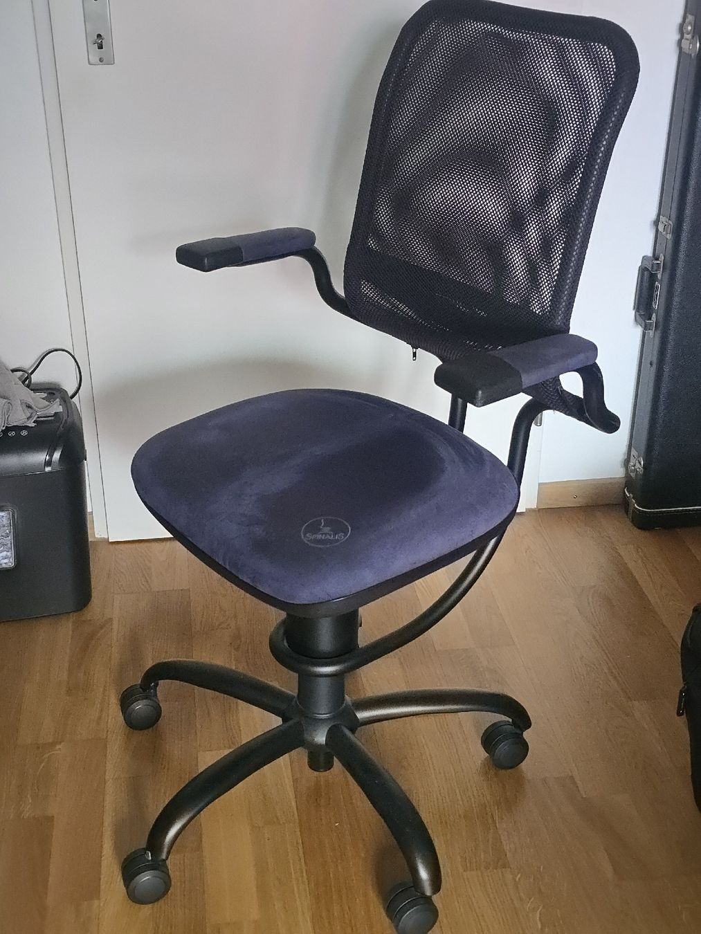 Sedie: Chaise ergonomique Spinalis – Usato da Buchs SG venduto da Nitro0289 4