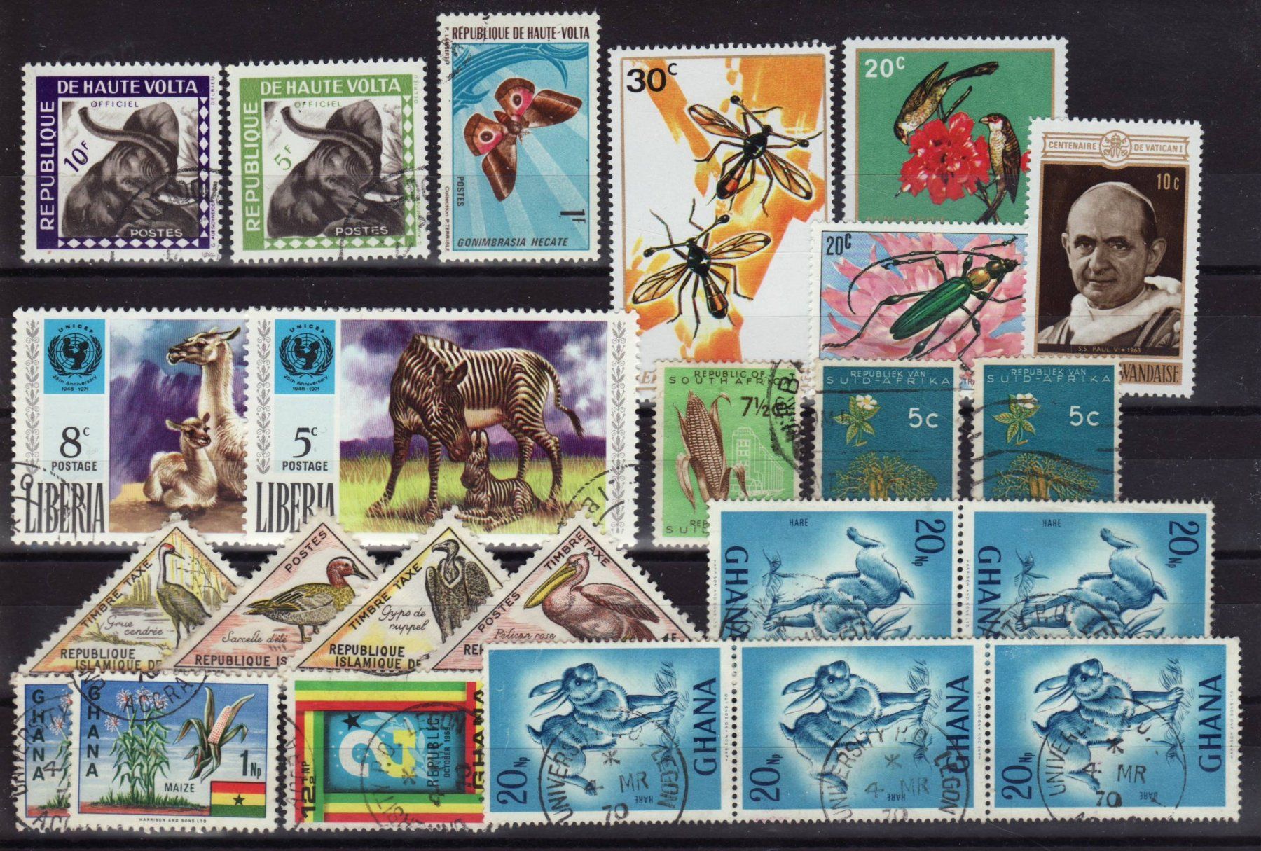 Tutti i francobolli: 095 AFRIKA, ca 67 Stk + 5 ältere ++ in Tütchen – Usato da Bern venduto da markenbak 2