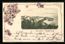 Neuchâtel, Ortsansicht aus der Vogelsch