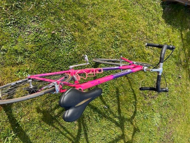 Biciclette: Rennvelo Marke Girini mit Shimano Durace – Usato da Lupfig venduto da gerberlupfig 1