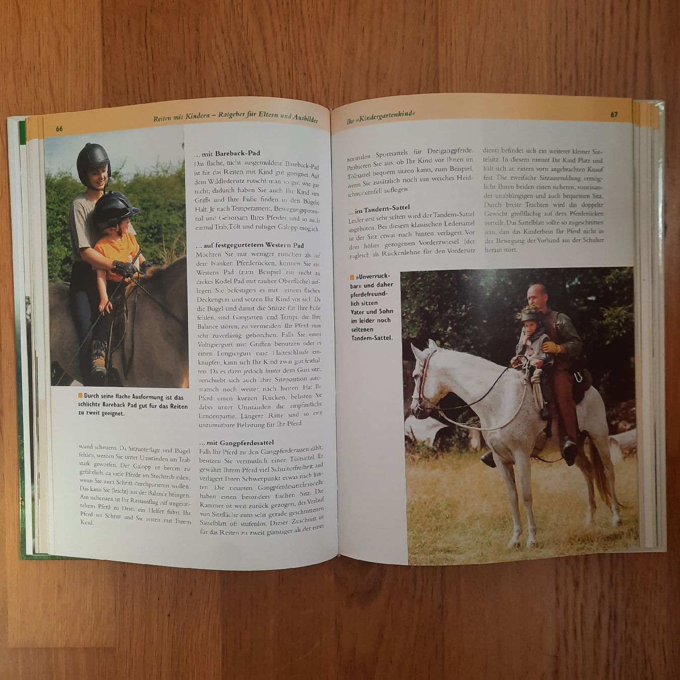 Libri: Reiten mit Kindern – Nuovo (secondo la descrizione) da Riedikon venduto da cor_7jcd 3