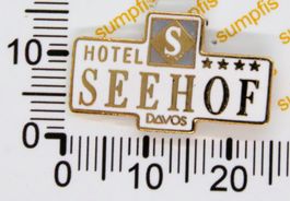 Pin Hotel Seehof Davos