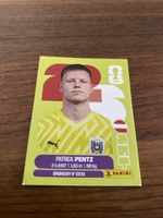Panini Aut 3