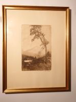Antike Radierung / Lithographie. Signiert & gerahmt.Puschlav