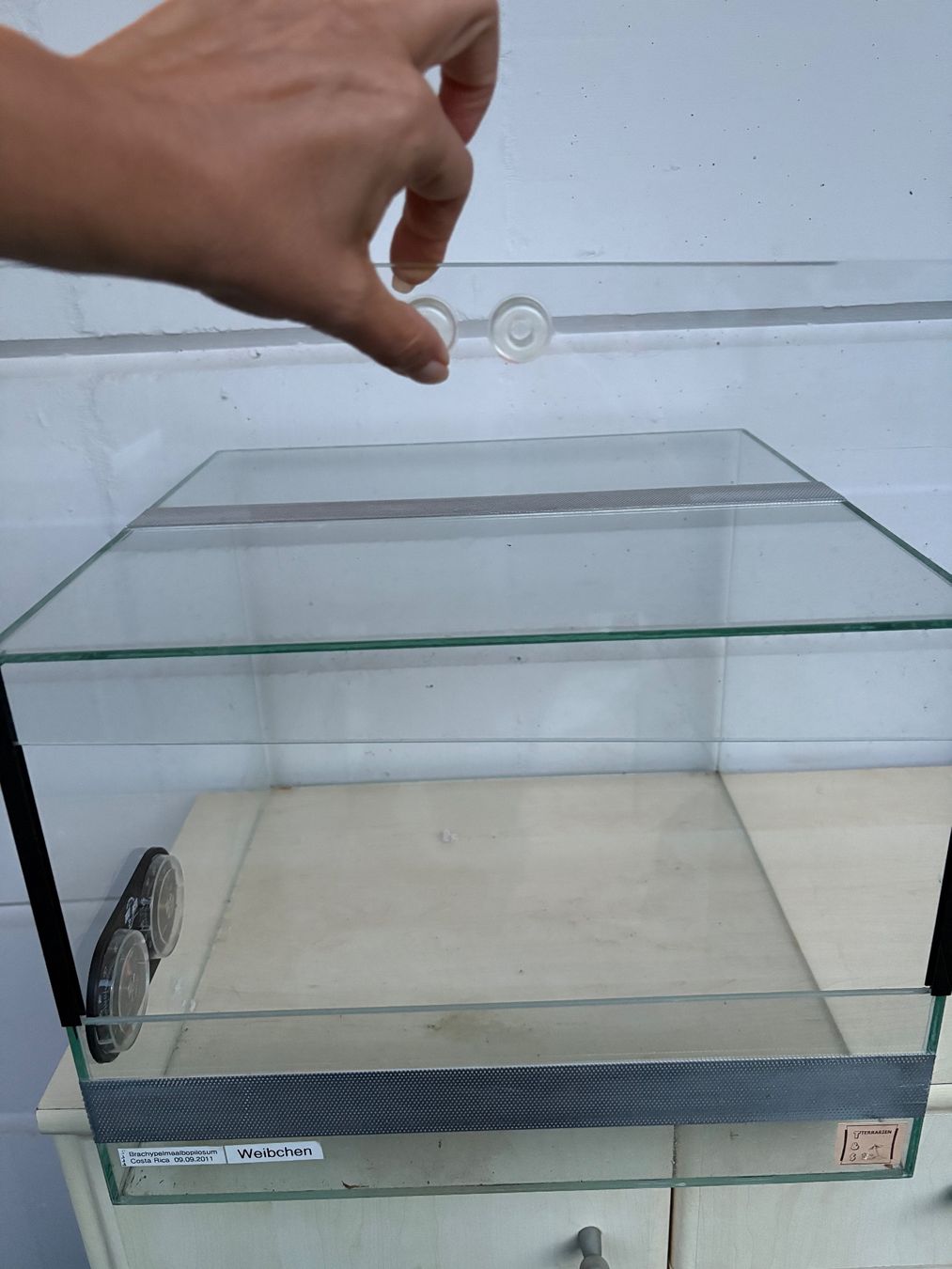 Terrario: Terrarium mit Belüftung, 40x30x40 cm – Usato da Rüti ZH venduto da Severo 1