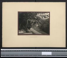 Fotografie Wiedikon, die Schleife an der